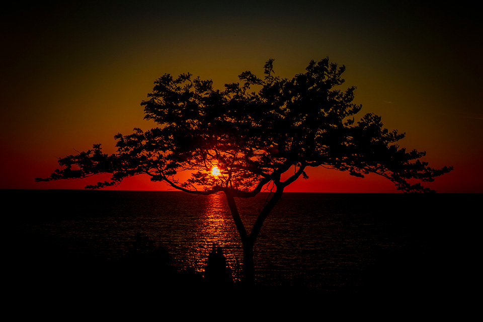 Sunset shining over the ocean